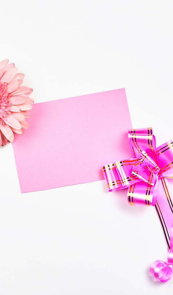 Розовый цветок герберы с бантом и листом бумаги на белом фоне