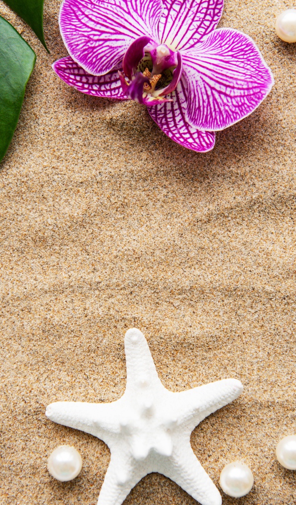 Розовые цветы орхидеи на песке с морской звездой