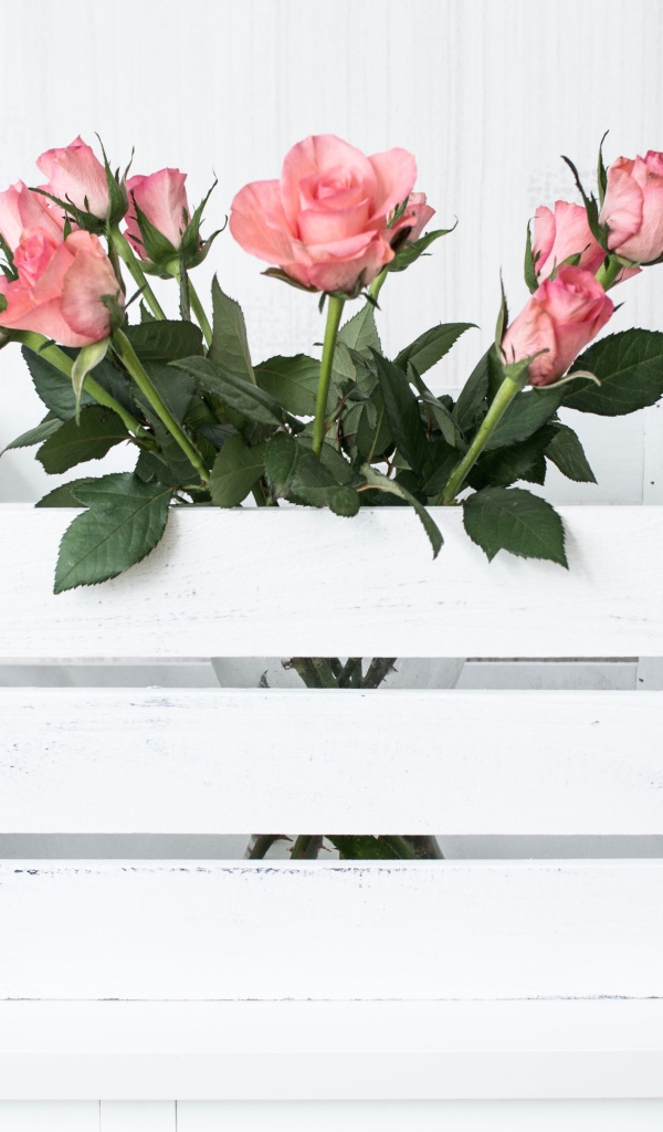 Розовые розы в белом деревянном ящике