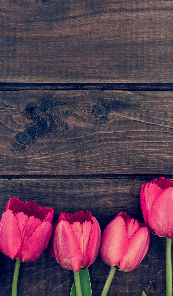 Розовые цветы тюльпана на деревянном столе 