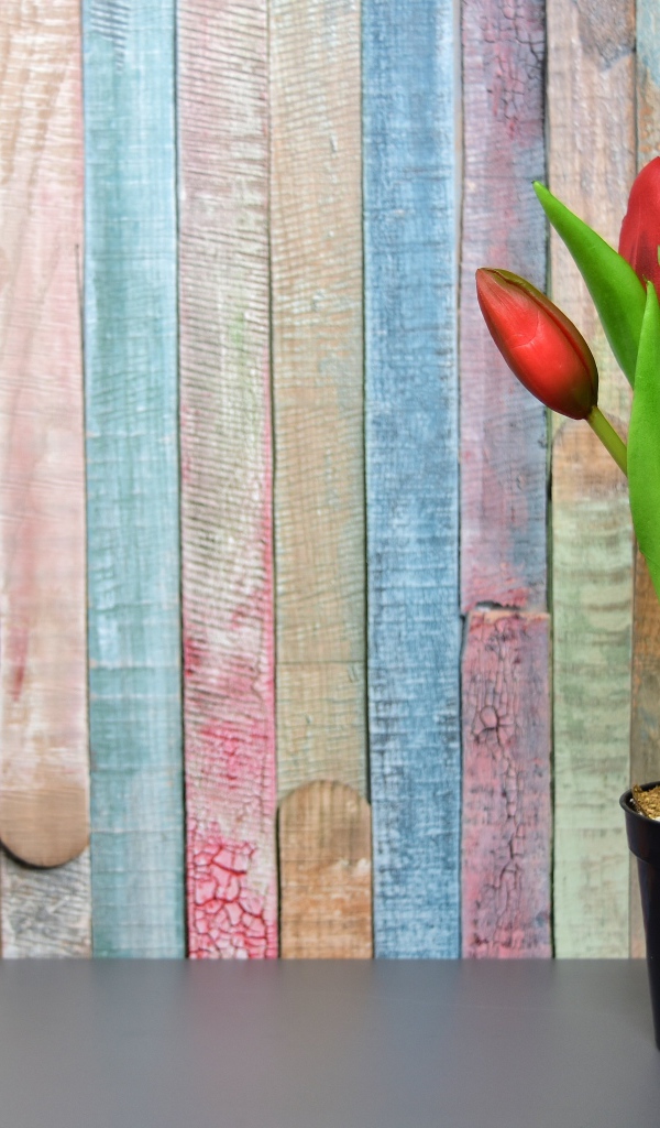 Красные цветы тюльпана в горшке на столе