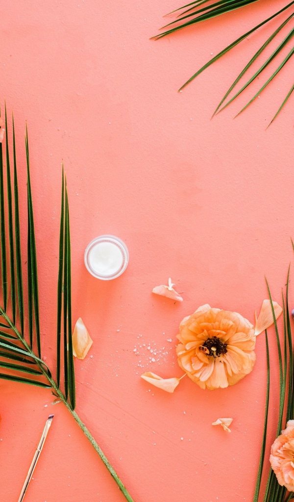 Розы и листья пальмы на розовом фоне 