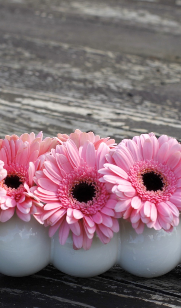 Маленькие розовые цветы герберы в белых вазах