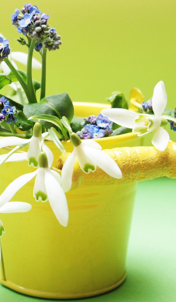 Маленькое желтое ведерко с весенними цветами
