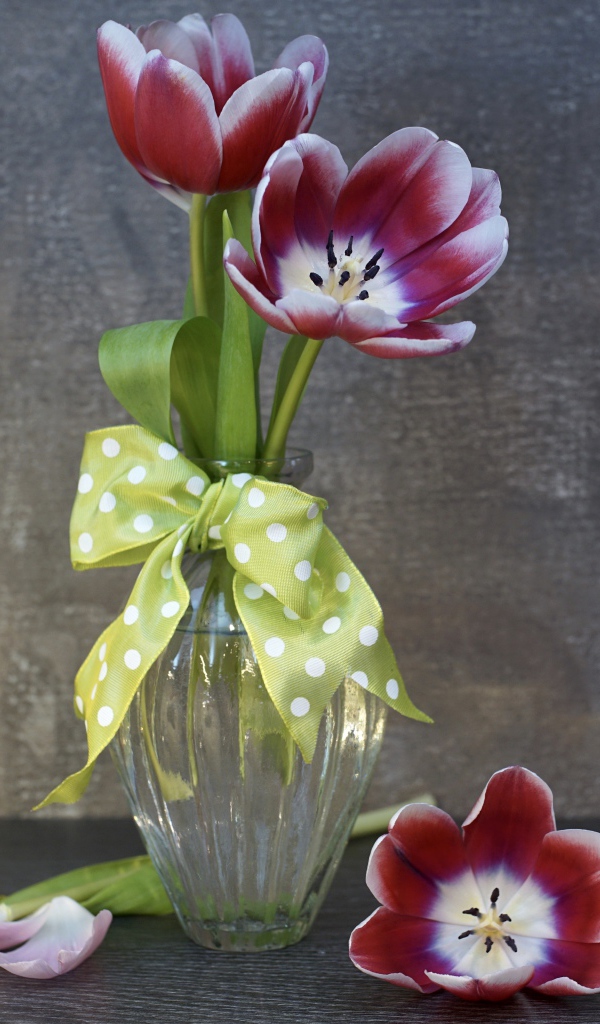 Три розовых цветка тюльпана в стеклянной вазе у стены