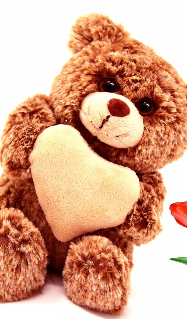 Игрушка медвежонок с красными тюльпанами на белом фоне