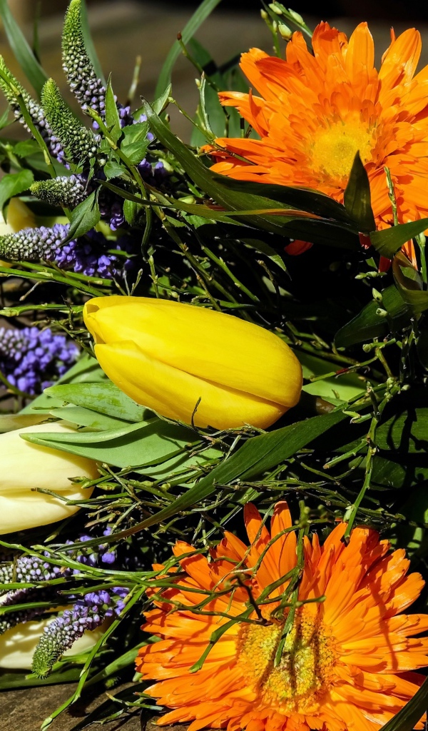 Цветы тюльпана с герберами на лавке