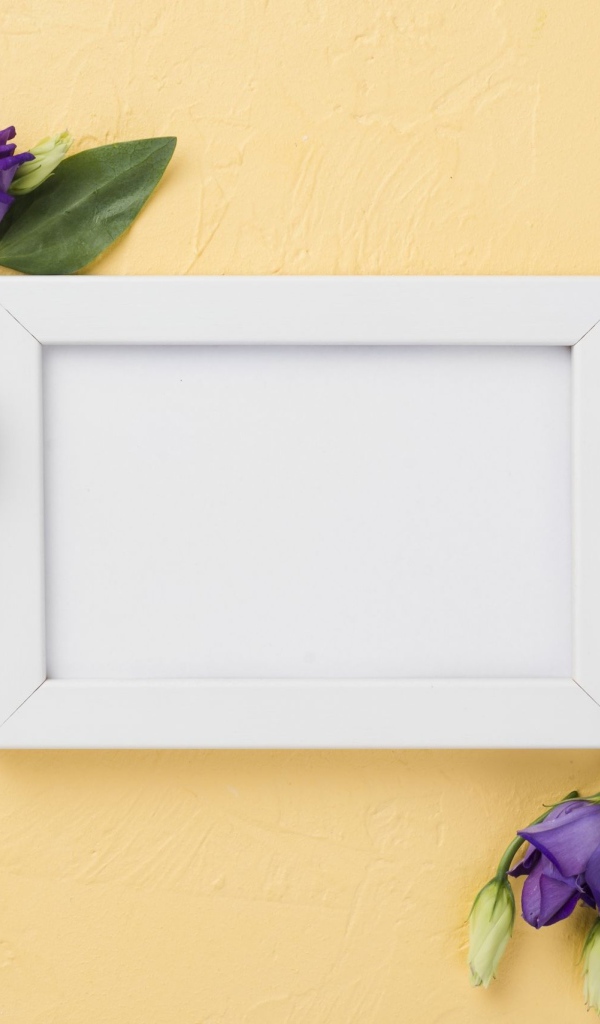 Белая рамка с фиолетовыми цветами эустома