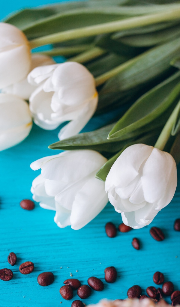 Белые тюльпаны на голубом столе с кофейными зернами