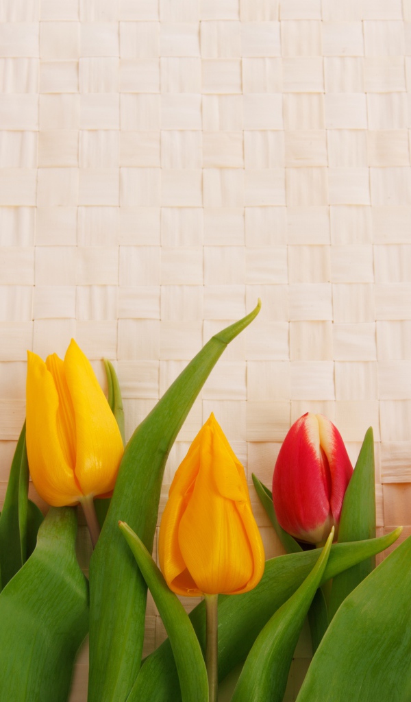 Желтые и красные тюльпаны на плетеном фоне