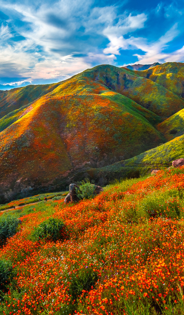 Красивая разноцветная гора под красивым голубым небом 