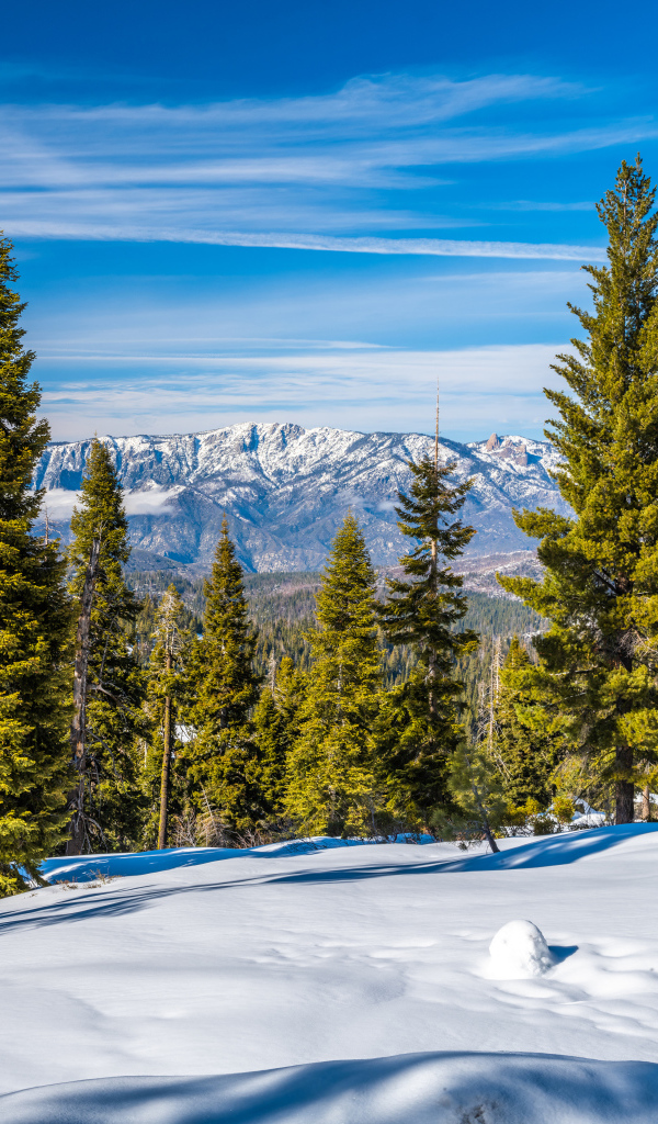 Красивый зимний вид на горы и зеленые ели под голубым небом