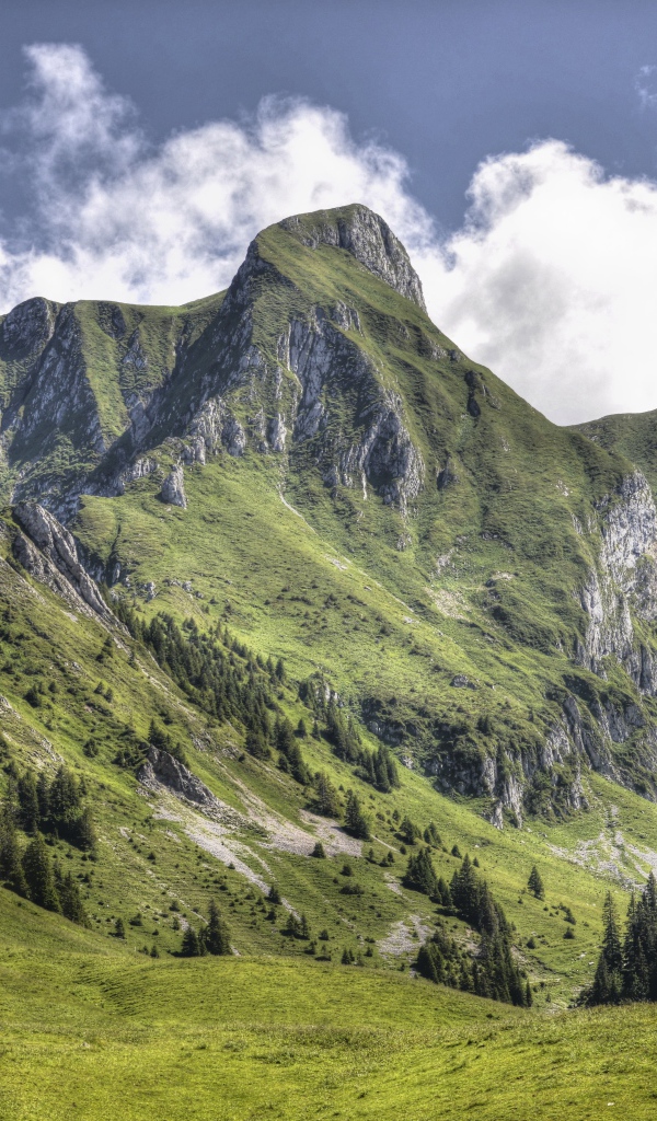 Большая зеленая гора под голубым небом