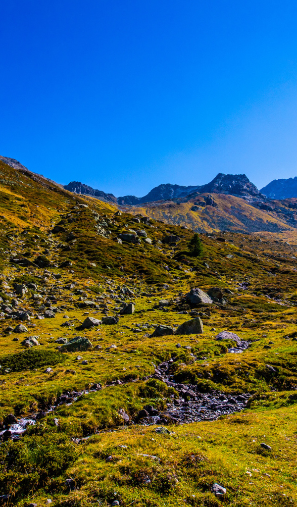 Зеленая трава на склоне горы под голубым небом 