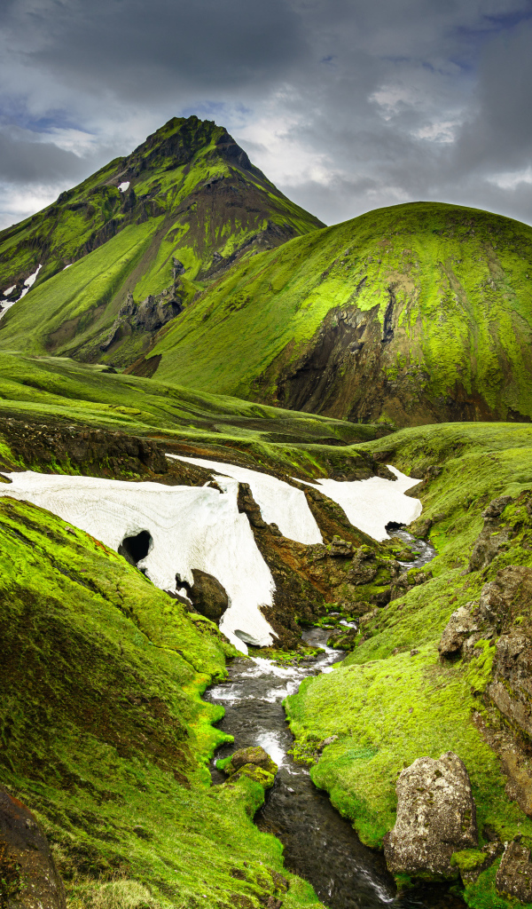 Покрытые зеленью горы в Исландии