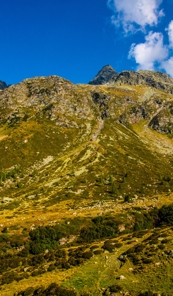 Покрытые зеленью Швейцарские альпы под голубым небом