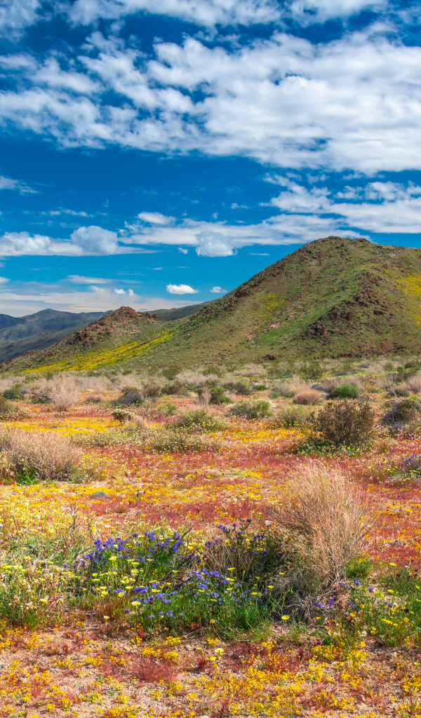 Высокие горы в национальном парке под голубым небом