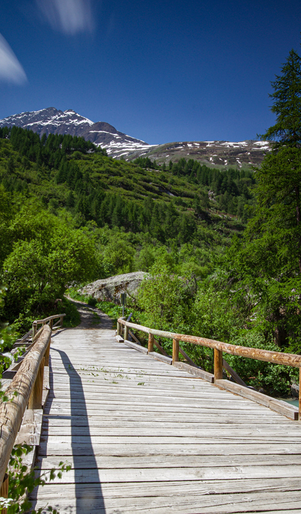 Большой деревянный мост у гор 