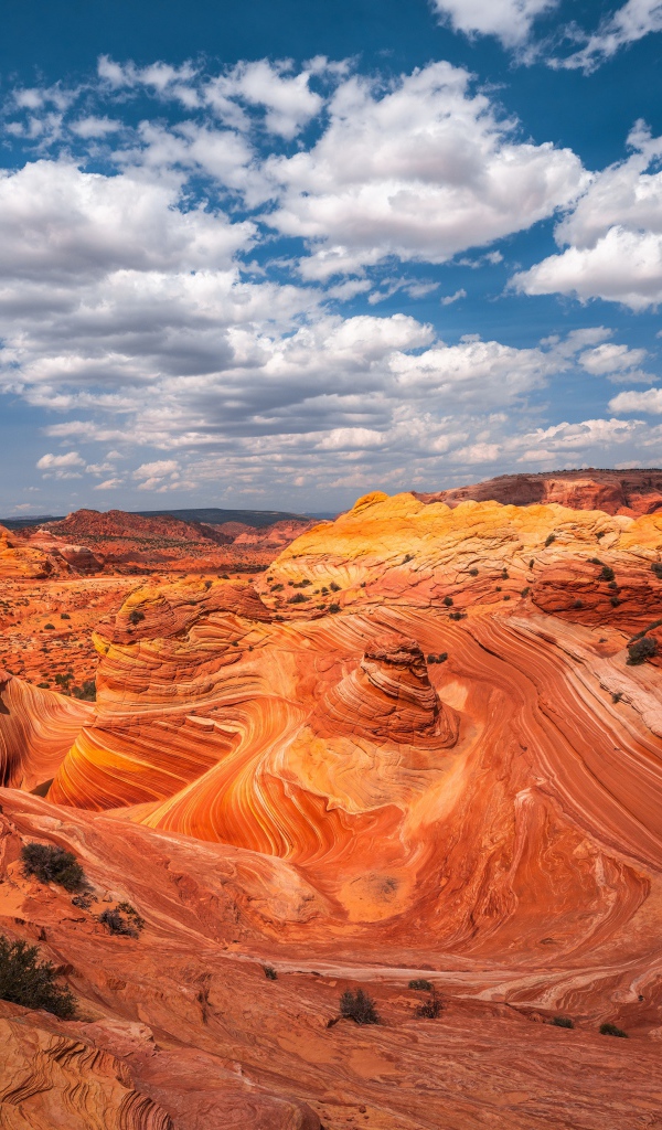 Красивый вид на каньон под красивым небом 