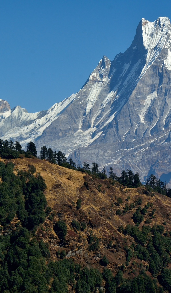 Красивый вид на острую заснеженную вершину горы