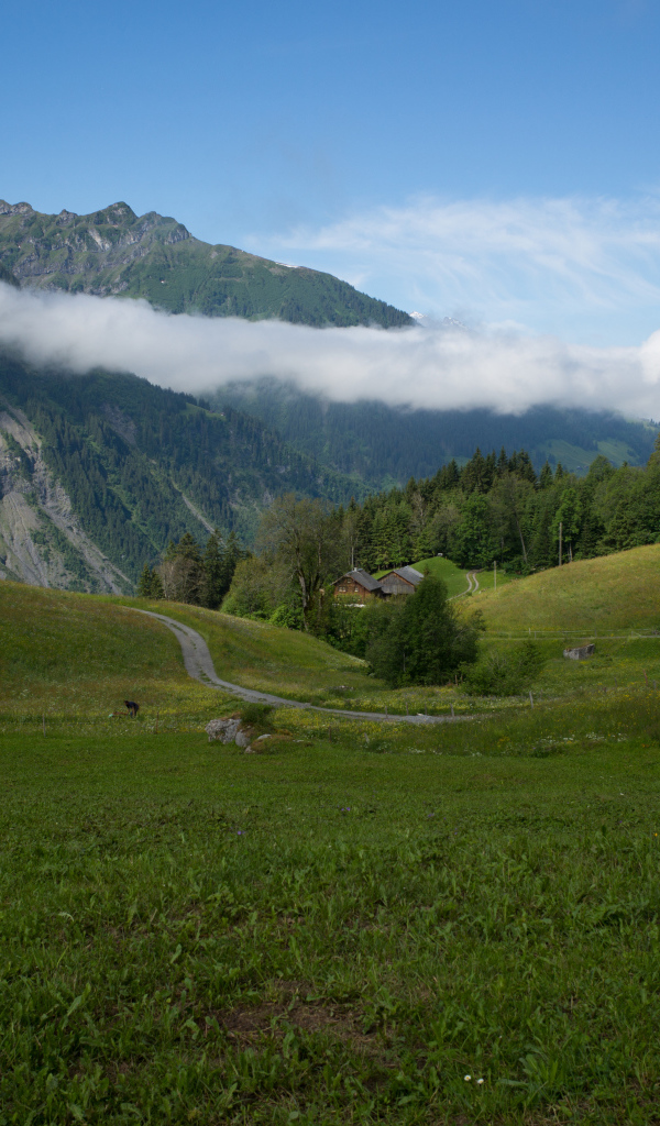 Швейцарские альпы в белых облаках 