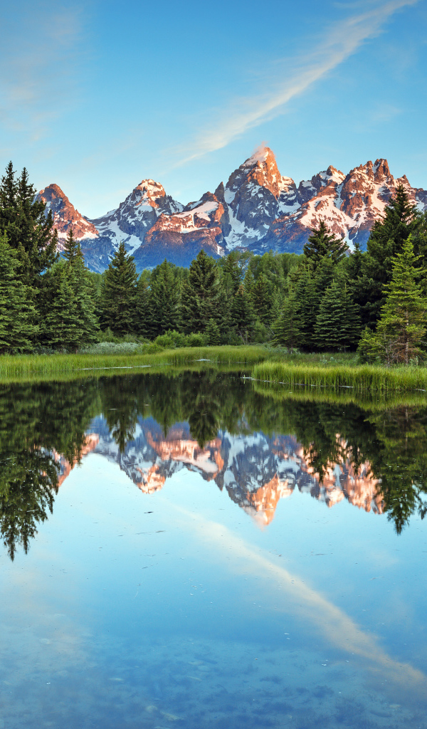 Зеленые высокие ели отражаются в озере на фоне гор