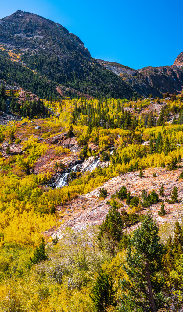 Вид на живописный каньон в США 