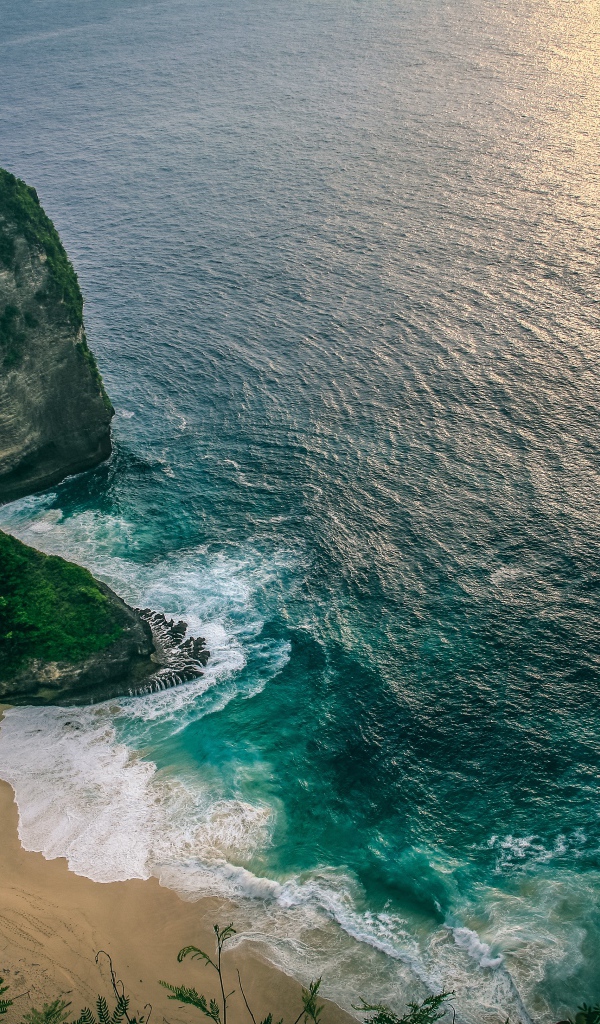 Утес покрытый зелеными  растениями на берегу моря 