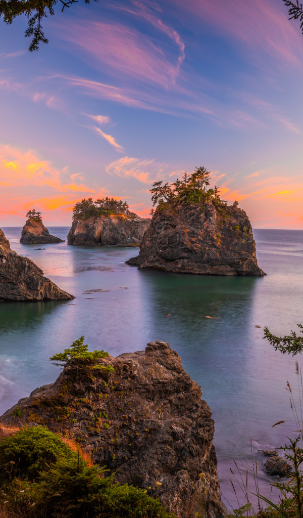 Каменные глыбы с деревьями на побережье в воде 