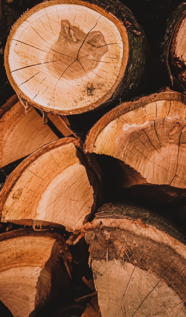 Рубленные дрова крупным планом