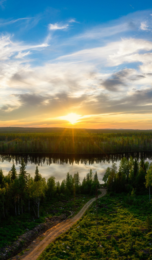 Рассвет яркого солнца над зеленым лесом и рекой