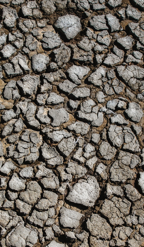 Потрескавшаяся после засухи земля 