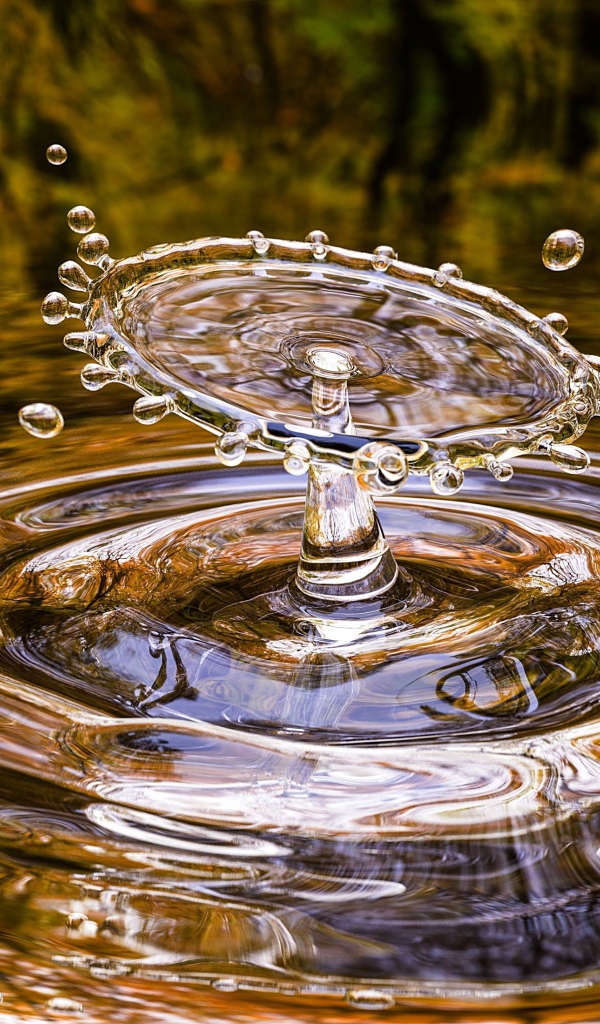 Брызги от капли  воды в луже 