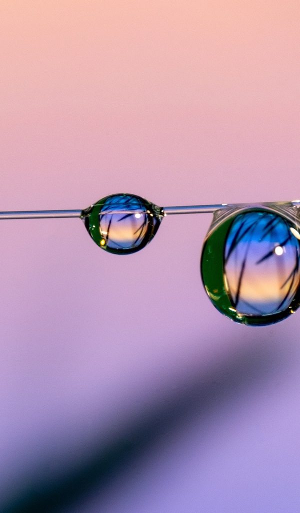 Капли воды на тонкой леске на розовом фоне