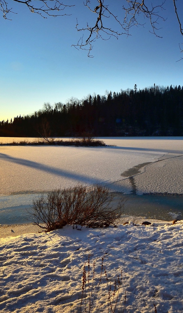 Покрытая льдом река в лучах солнца у леса 