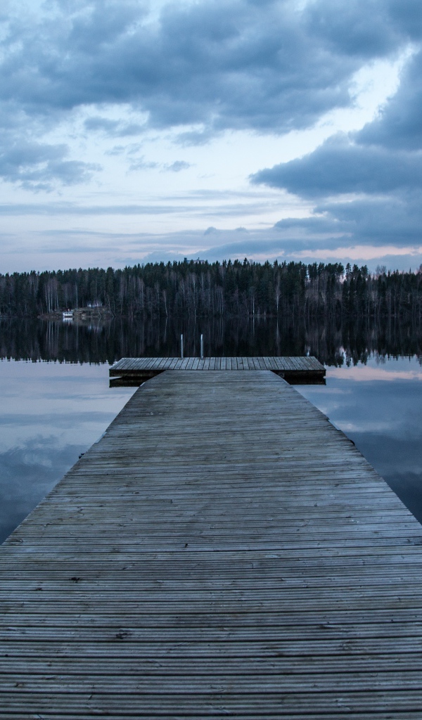 Большой деревянный мост на реке у леса