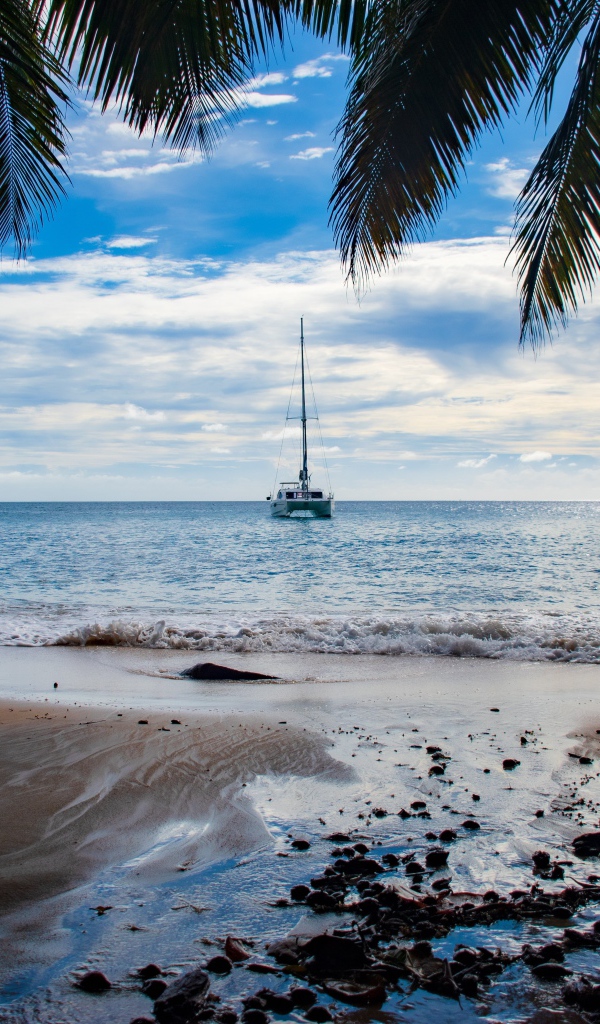 Красивый вид на море с тропического пляжа