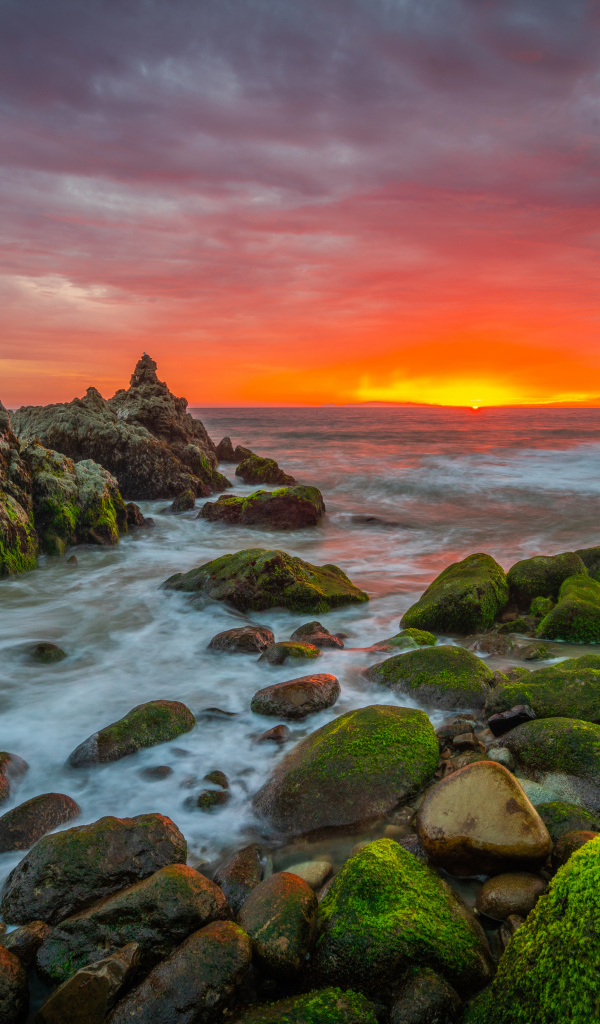 Покрытые зеленым мхом камни на берегу моря