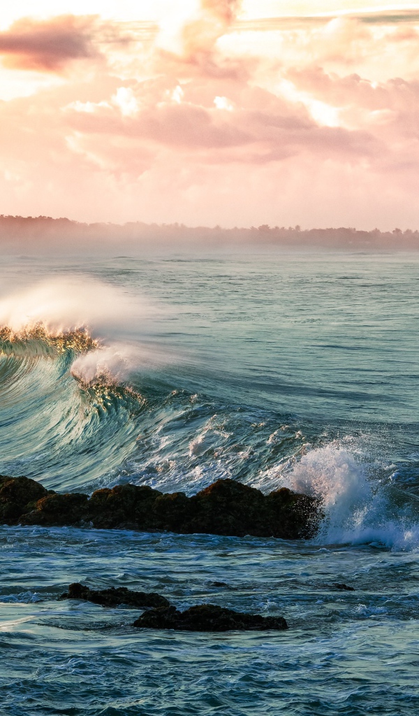 Волны на берегу океана в тумане 