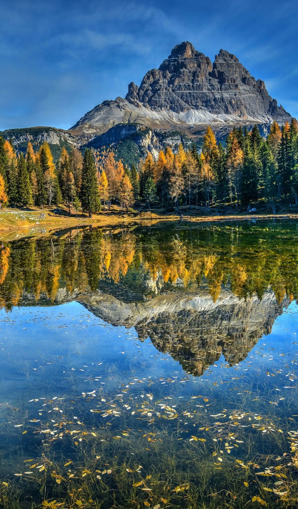 Осень окрасила лес у горного озера 