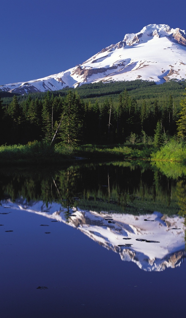 Спящий вулкан Маунт-Худ отражается в воде, США