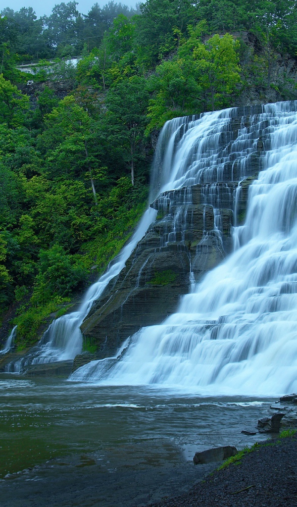 Красивый каскадный водопад с зелеными деревьями