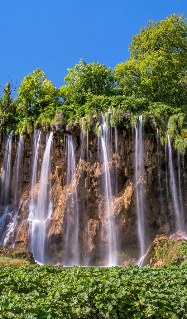 Красивый водопад стекает со склона с зелеными деревьями 