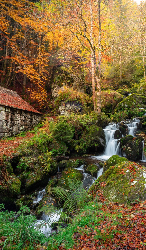 Старый каменный дом в осеннем парке с водопадом