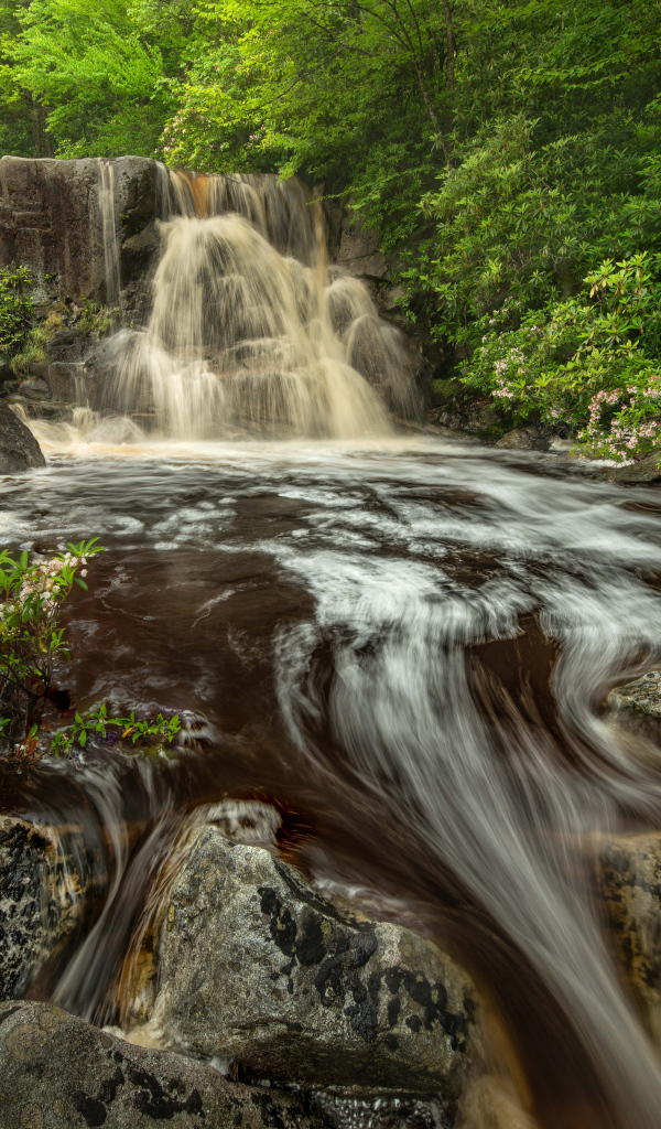 Быстрая холодная вода водопада стекает по большим камням