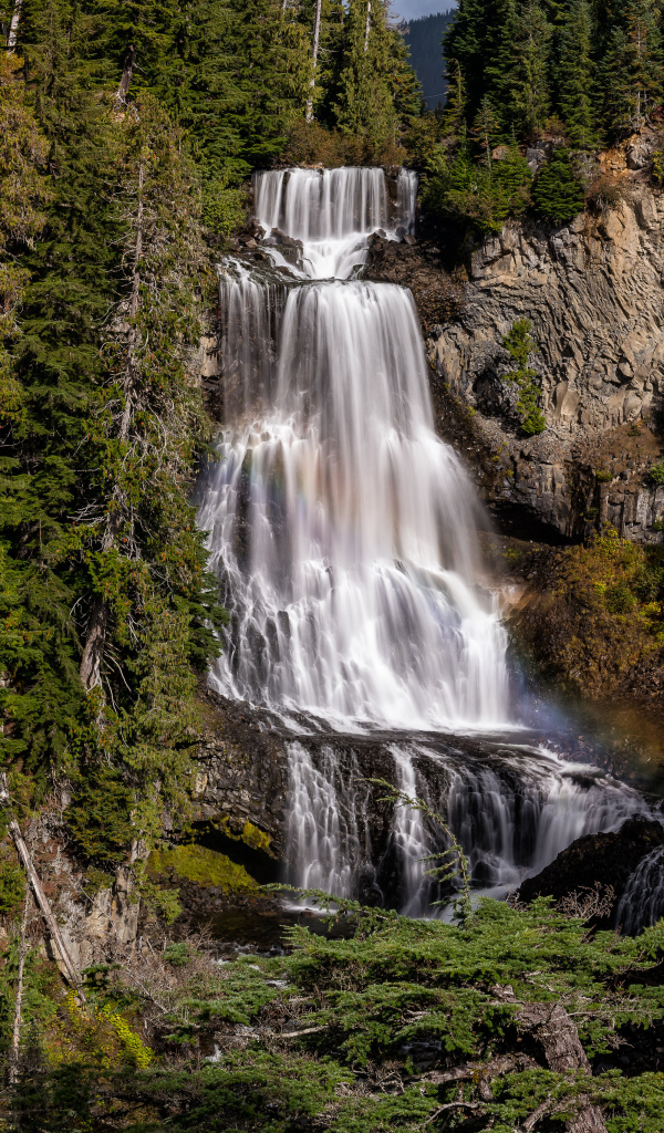 Большой водопад Александр стекает по скале в лесу 