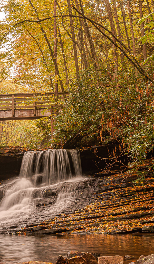 Водопад стекает по камням под мостом осенью