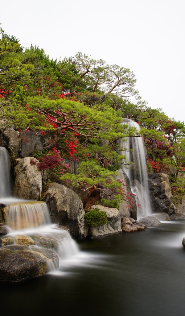 Водопады в красивом саду с зелеными деревьями