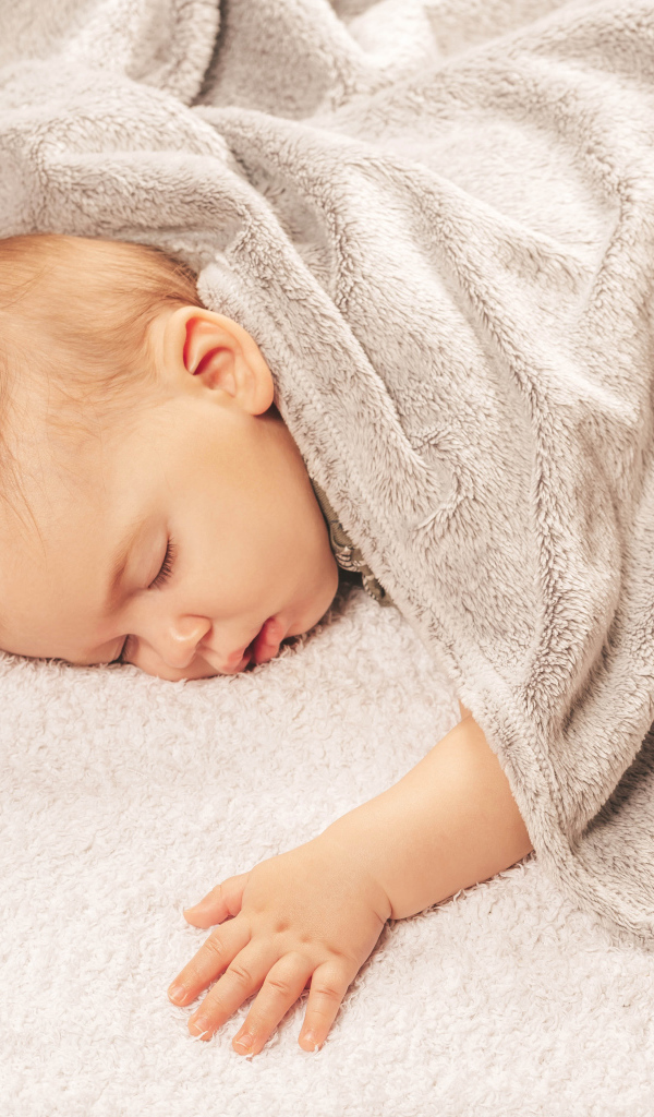Грудной спящий ребенок под одеялом 