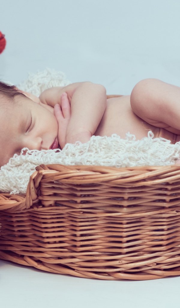 Красивый маленький грудной ребенок спит в корзине с игрушкой 